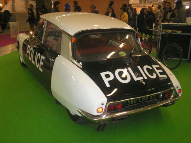 ds-police-pie